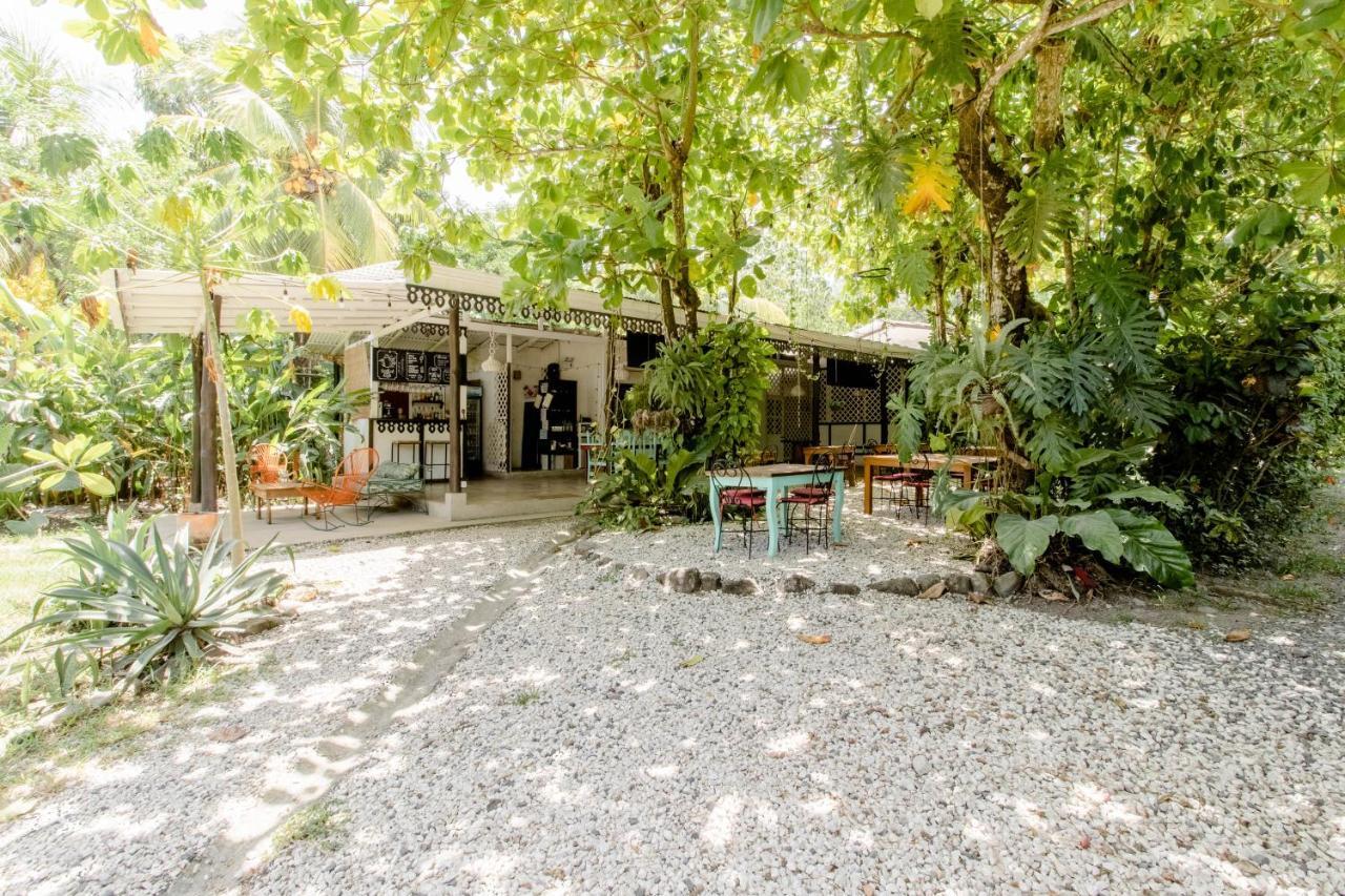Bajo El Arbol B&B Playa Santa Teresa  Εξωτερικό φωτογραφία