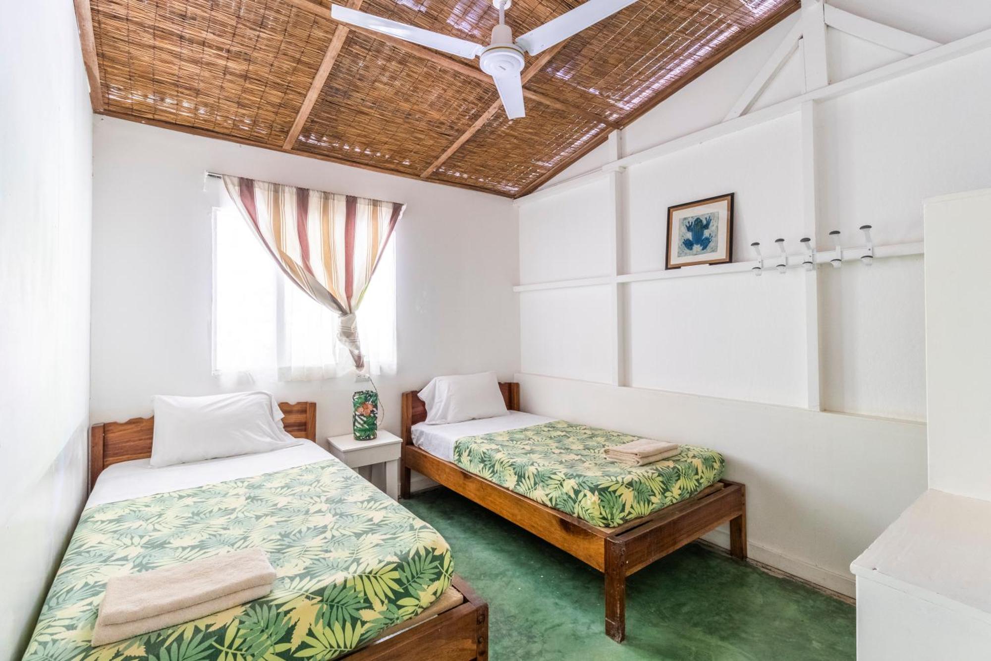 Bajo El Arbol B&B Playa Santa Teresa  Εξωτερικό φωτογραφία